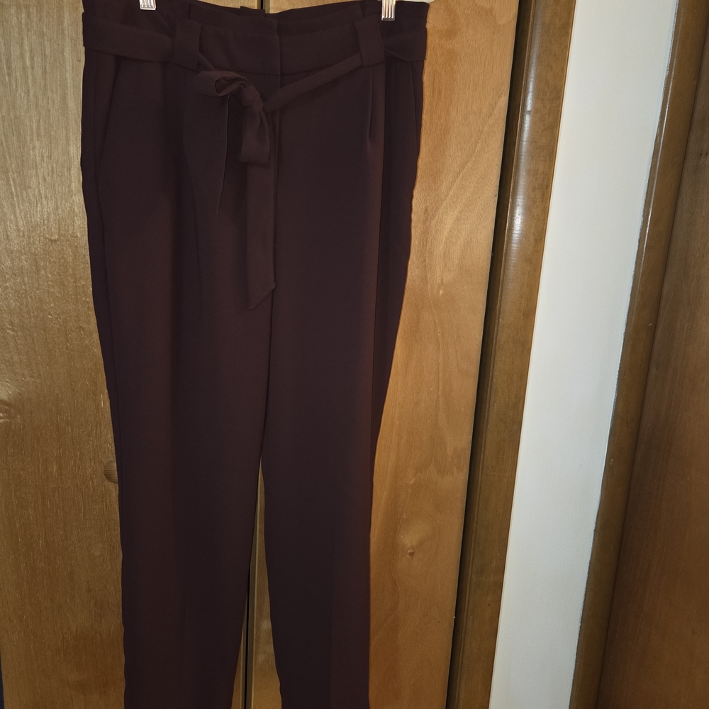 Express Women's Deep Burgundy Trousers